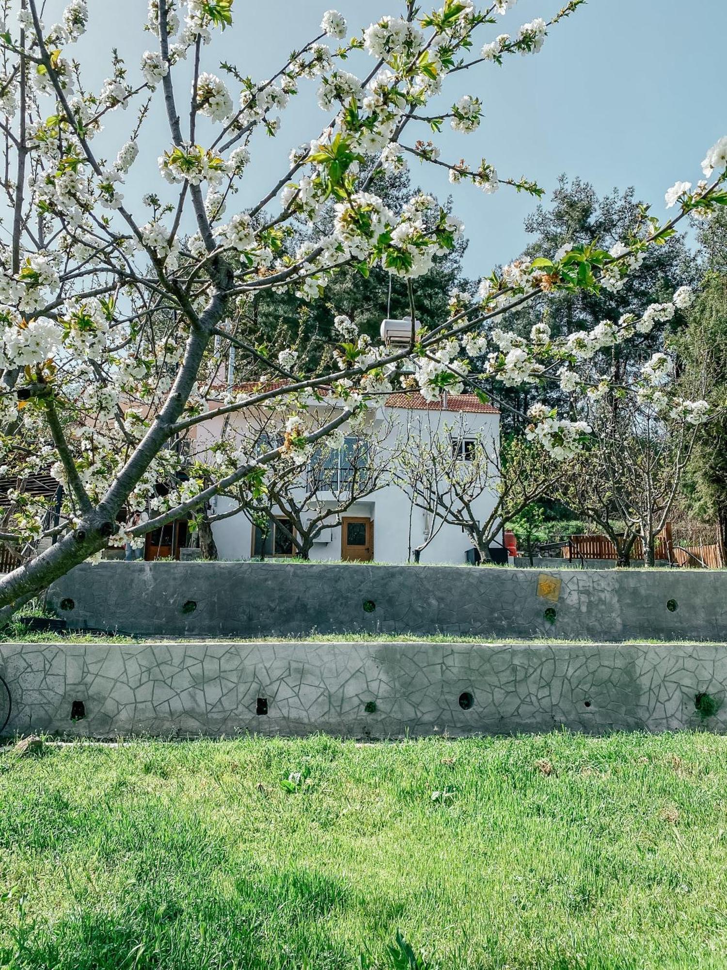 Milea Mansion Villa Limassol Exterior foto